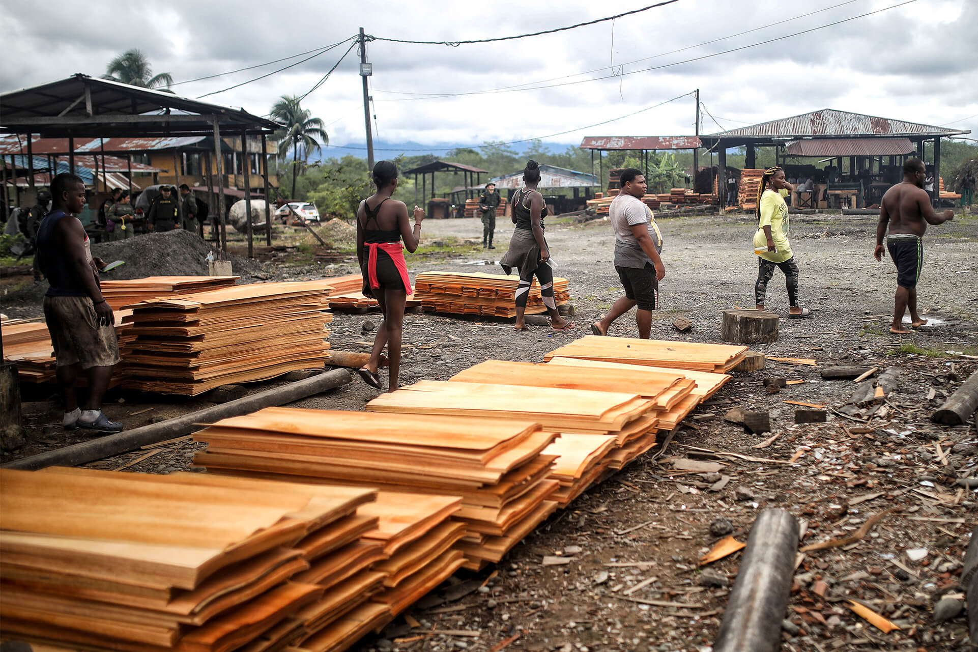 Tráfico de madera