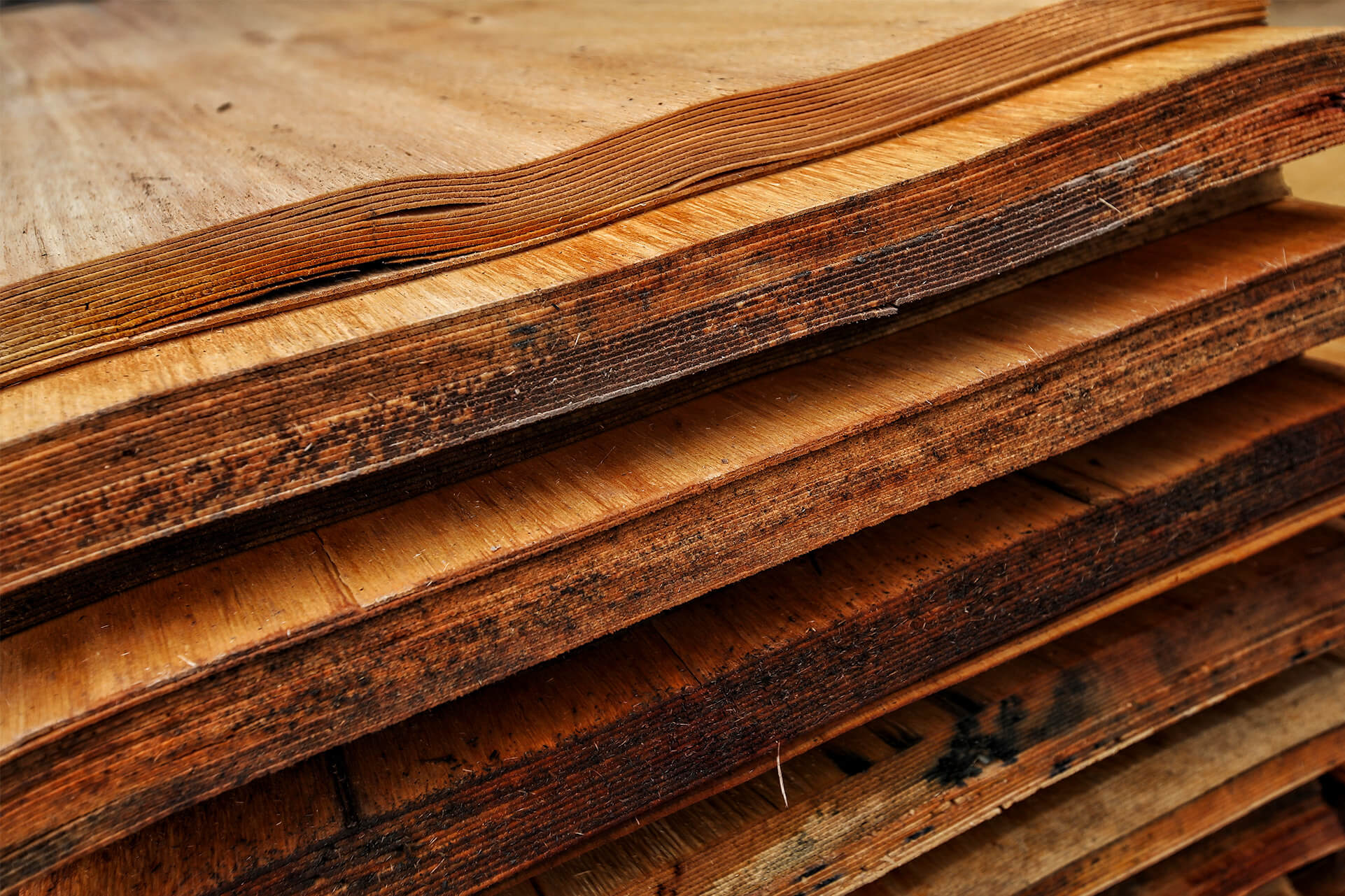 Tráfico de madera