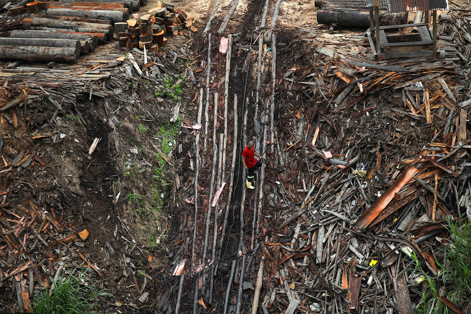 Tráfico de madera
