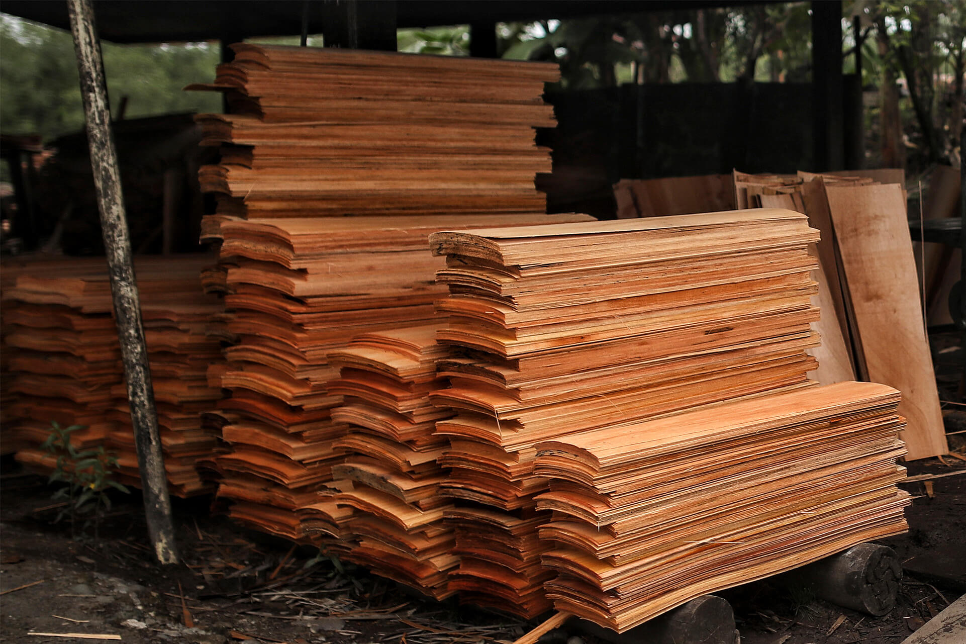 Tráfico de madera