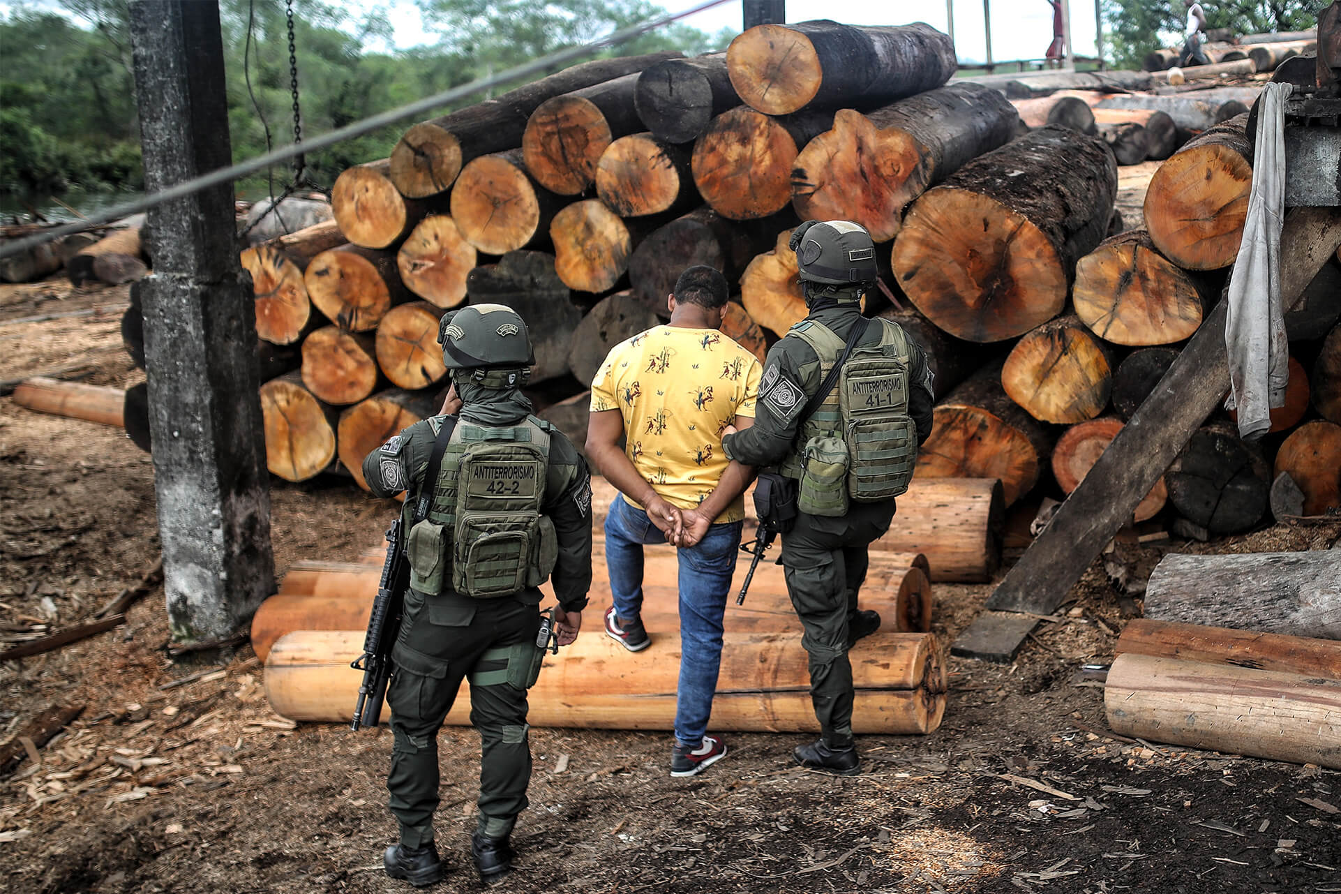 Tráfico de madera