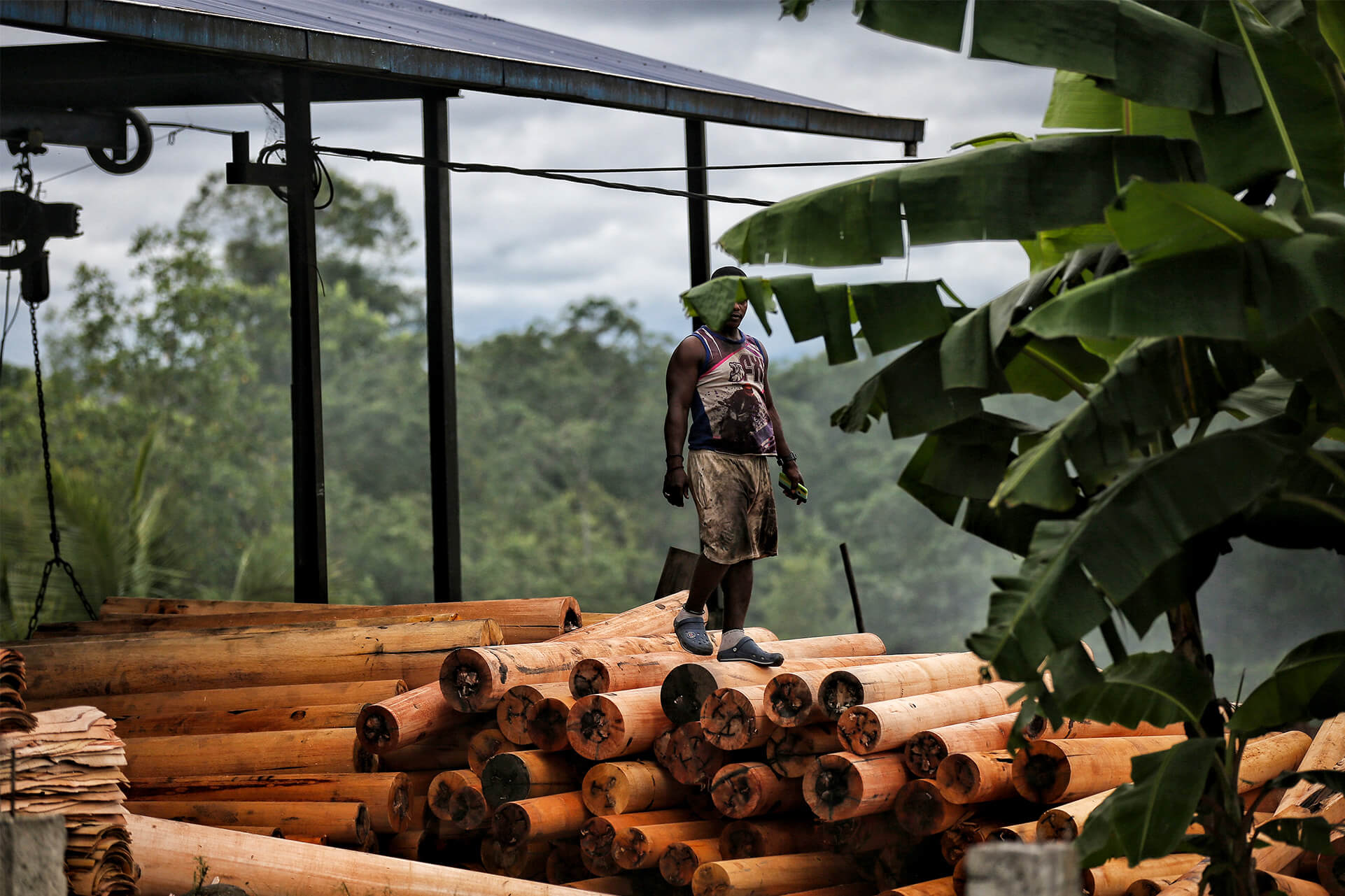 Tráfico de madera