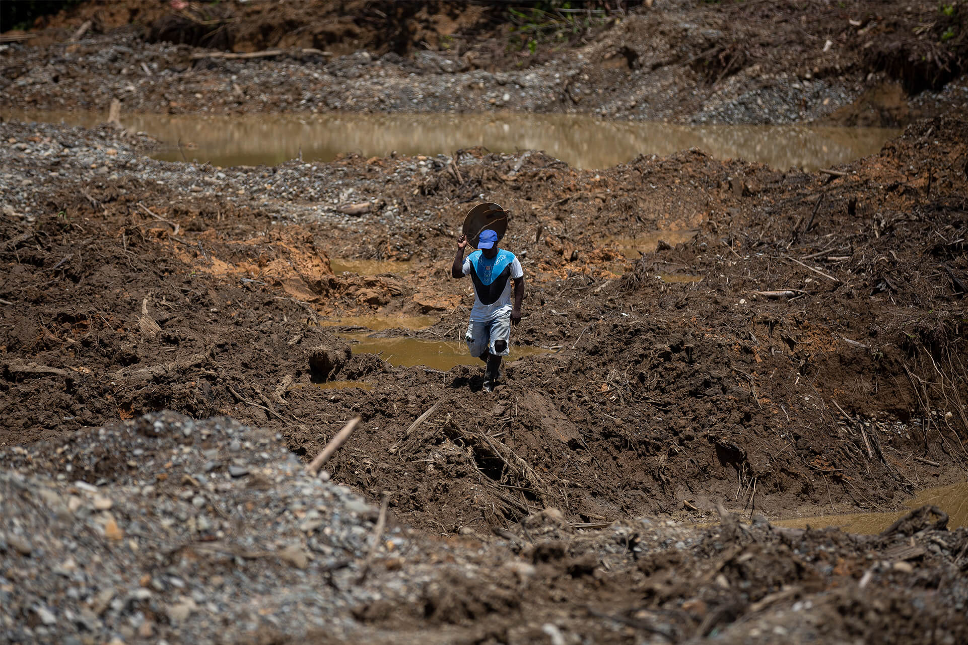 Minería de oro
