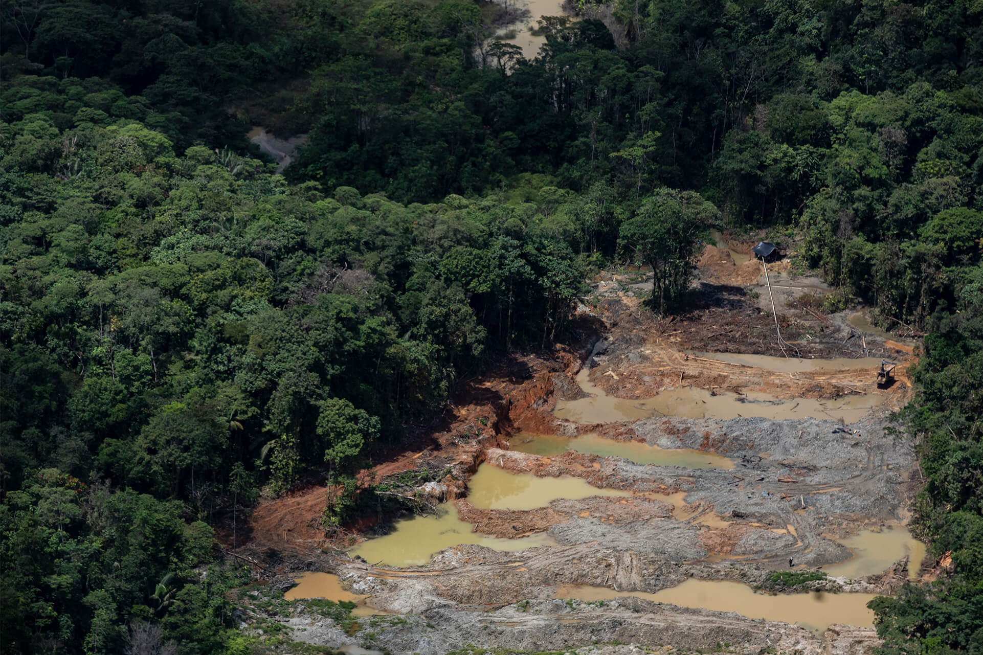 Minería de oro