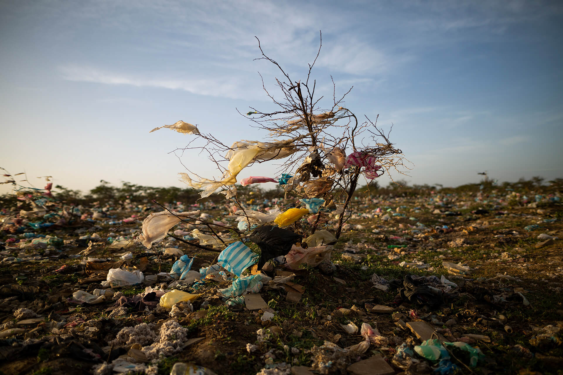 Contaminación por plásticos