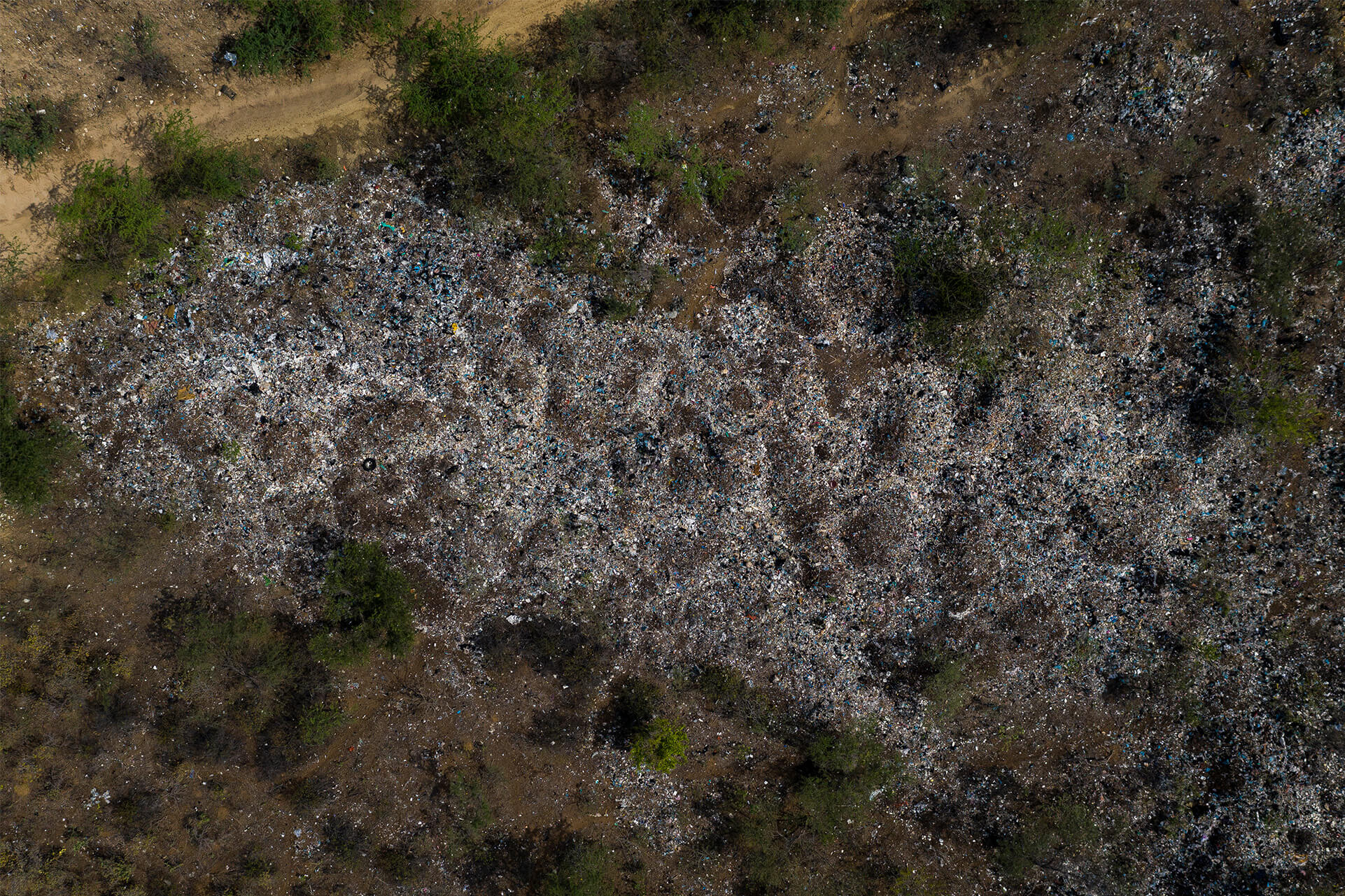Contaminación por plásticos