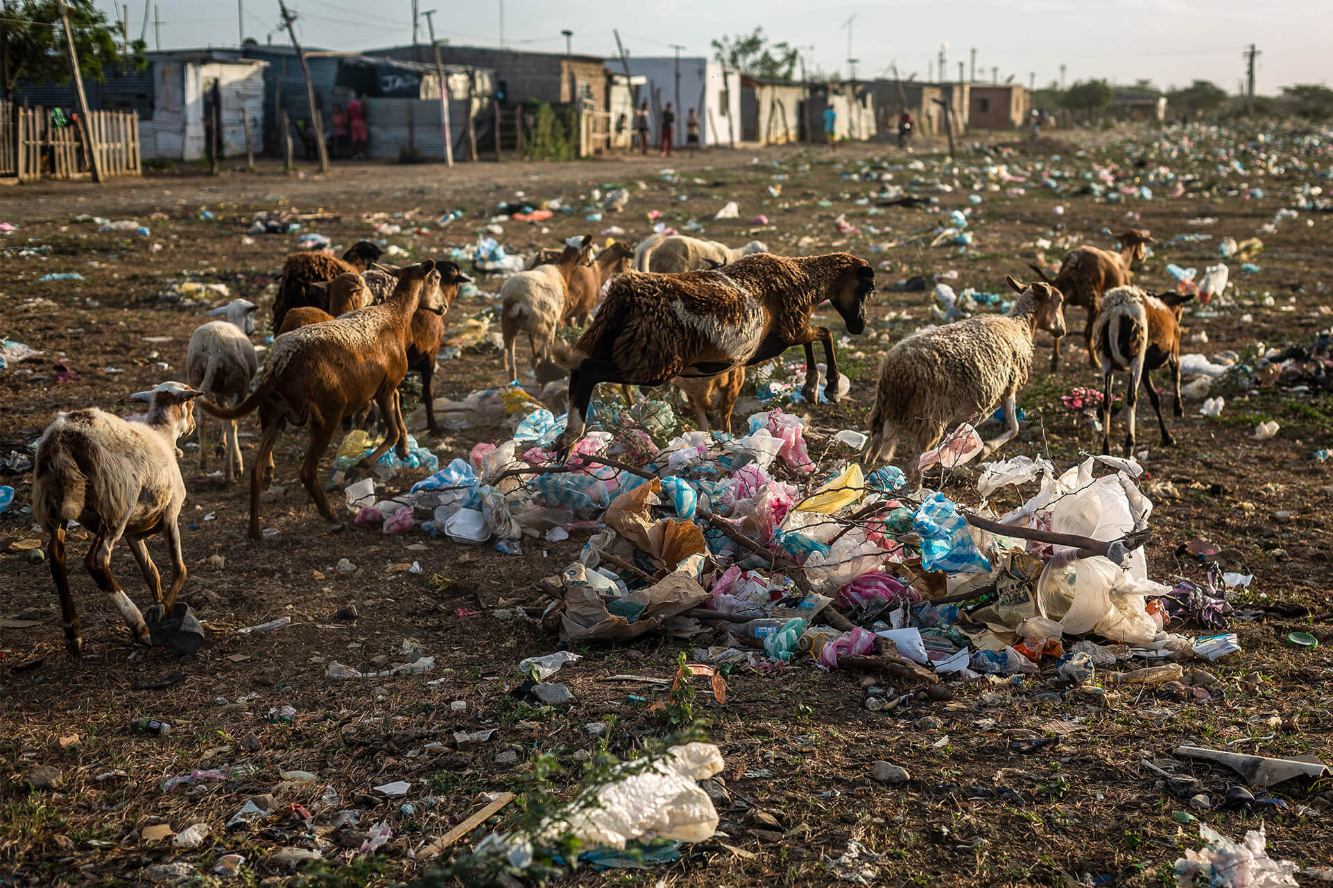 Contaminación por plásticos